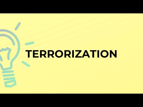 What is the meaning of the word TERRORIZATION?