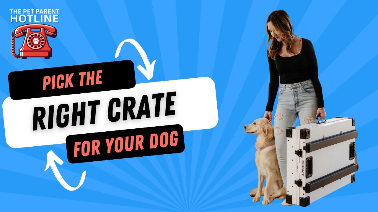 How to Pick the Right Crate for Your Dog How to Pick the Right Crate for Your Dog