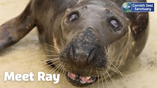 Meet our Summer Superstars: Ray's story
