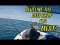 Blueline Deep Drop for MEAT!