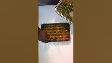 Homemade BAKLAVA #homemade #baklava #baklavarecipe #cookingfromtheheart