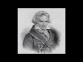 Beethoven - Symphony No. 7 In A Major - 2nd Movement - Allegretto