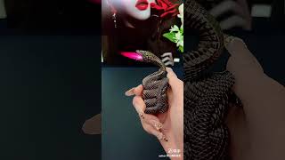 High-end pure metal three-dimensional relief "Lucky Snake" in redFlame-proof and windpr