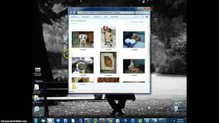 Resizing Windows