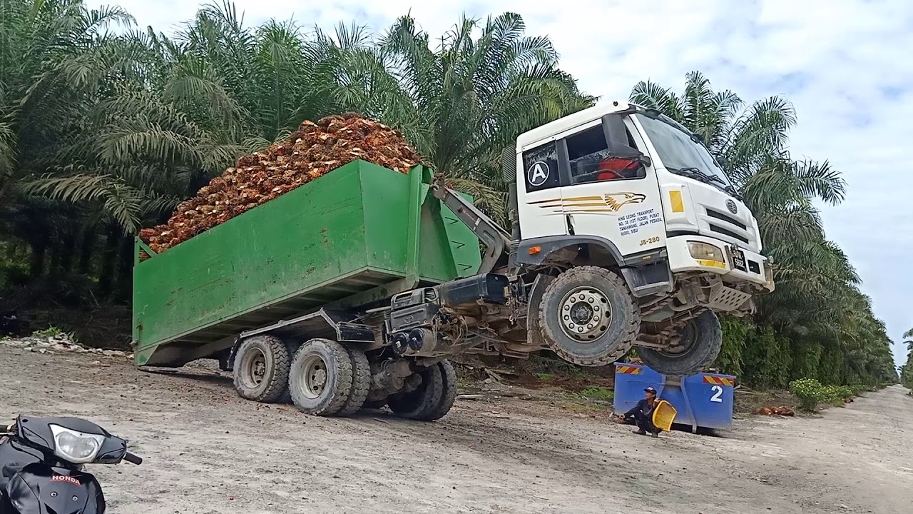 Salm anak Rantau sibu Sarawak Malaysia
