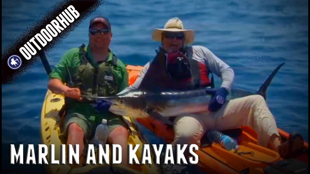 Stripped Marlin Caught On Kayak! YouTube