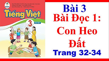 Tiếng Việt Lớp 3| Bài 3| Bài Đọc 1| Con Heo Đất| Trang 32 34| Sách Cánh Diều