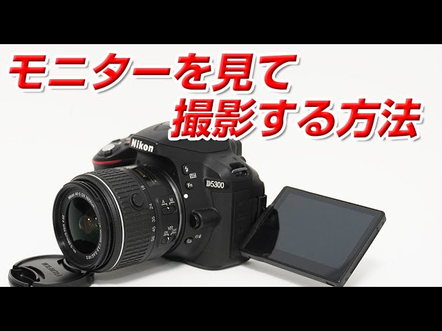 Nikon D モニターを見て撮影をする方法