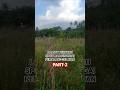 berburu spot liar disungai pemalang #mancing #mancingdisungai #mancingliar #fishing