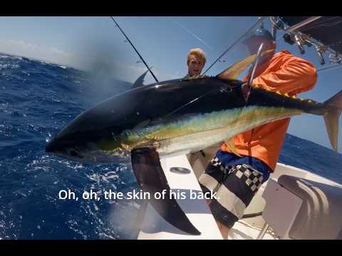 Memorial Day weekend, yellowfin tuna fishing with Ananda Puerto Rico.