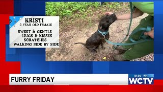 Furry Friday: Meet Kristi!