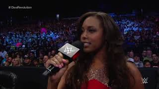 Every Wwe Womens Match Of 2015