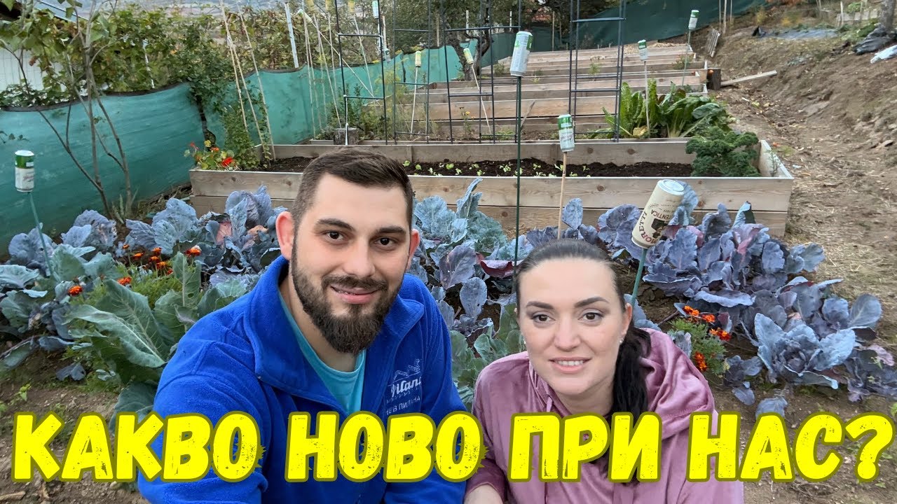 ЖИВОТ НА СЕЛО: Нашата есенна градина стъпка по стъпка!