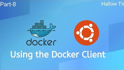 Using the Docker Client