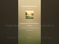 [Music] Fairway Friends and PGA Legends 1