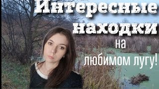 Коп 2019. Интересные находки на любимом лугу!