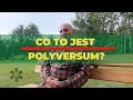 Co to jest polyversum?