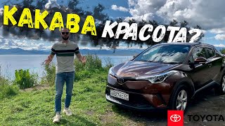 Toyota C-HR😎КакАва же всё-таки красата😍Vezel нервно курит😄