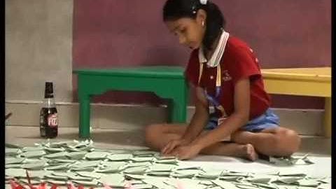 Largest Origami Mosaic by a Minor (Female)