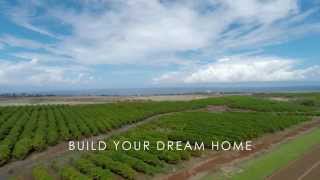 Kaanapali Coffee Farms Greg Burns Luxury Real Estate