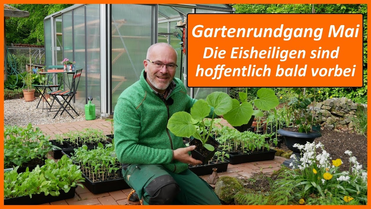 Gartenrundgang Mai - Die Eisheiligen sind hoffentlich bald vorbei :-)