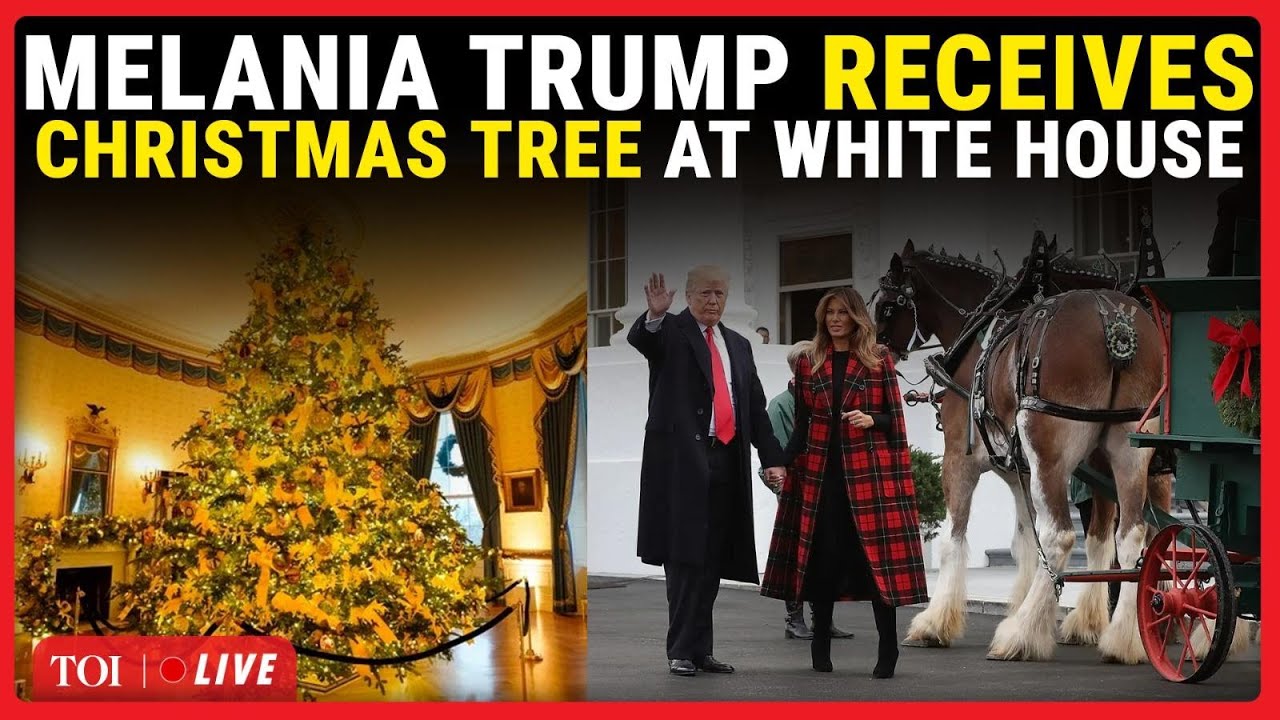 LIVE | Melania Trump Hosts Arrival Of 2025 Christmas Tree At White House; Holiday Festivities Begin