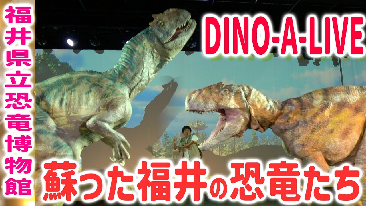 動画を再生