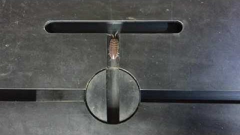 Turn Alternation in Woodlice