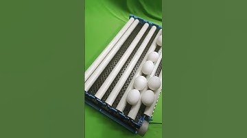 New hatchpro 50 64 100 fully automatic egg incubator turning tray multipurpose  #eggincubator
