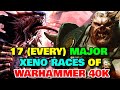 17 (Every) Major Xeno Races Of Warhammer 40k Universe - Explored