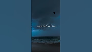 تلاوة خاشعة للشيخ سعد الغامدي | “الَّذِينَ يَذْكُرُونَ اللَّهَ قِيَامًا وَقُعُودًا