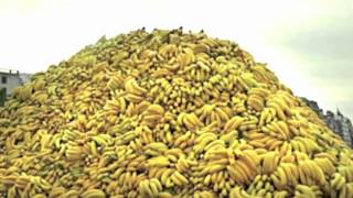 How to START the RAW FOOD DIET + transitions tips for weight loss.