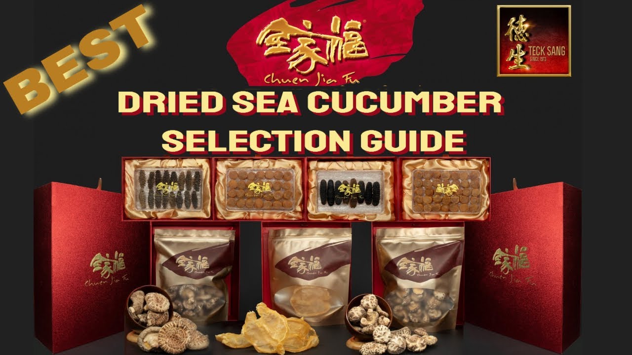 Best dried Sea Cucumber Selection Guide with Top Sea Cucumber selection tips and insights. Quality!