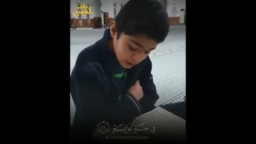 القارئ محمد أمين الكردي يحاكي الشيخ ياسر الدوسري كأنه هو