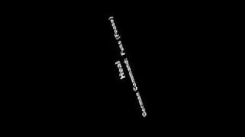 German Dog Training Commands