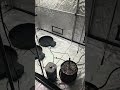 #autopot #acinfinity #myacinfinitygrow #growtent