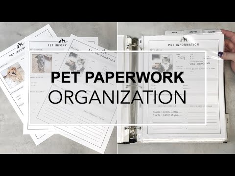 Video: How To Make Documents For A Dog