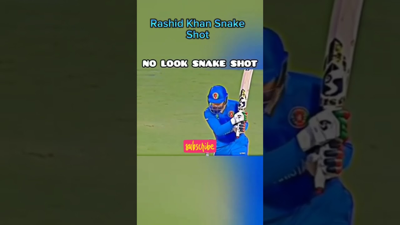 Rashid Khan Snake 🐍🐍 shot 