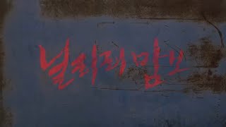 [뮤직 아카이브] 닐리리맘보 - 블락비, 240112 업로드