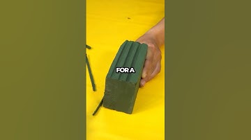 Meet Ada Lovelace: The First Computer Programmer! #Shorts