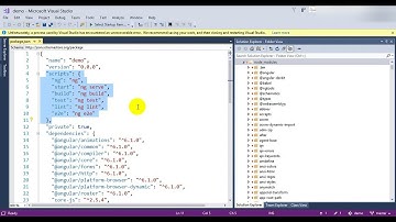 06. Angular project structure - package.json