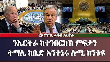 ንኤርትራ ከተንበርክኽ ምፍታን ትማሊ ከቢድ እንተኔሩ ሎሚ ከንቱዩ - Hafash Eritrea/ድምጺ ሓፋሽ ኤርትራ