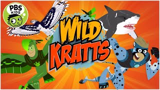 Wild Kratts Rescue Run: Wild Kratts Endless Running Adventure || Wild Kratts Games screenshot 2