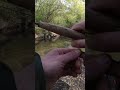 Karfreitag – Teil 2 von 4 🐣#angeln #fishing #fliegenfischen  #döbel #fliegenfischen #chub