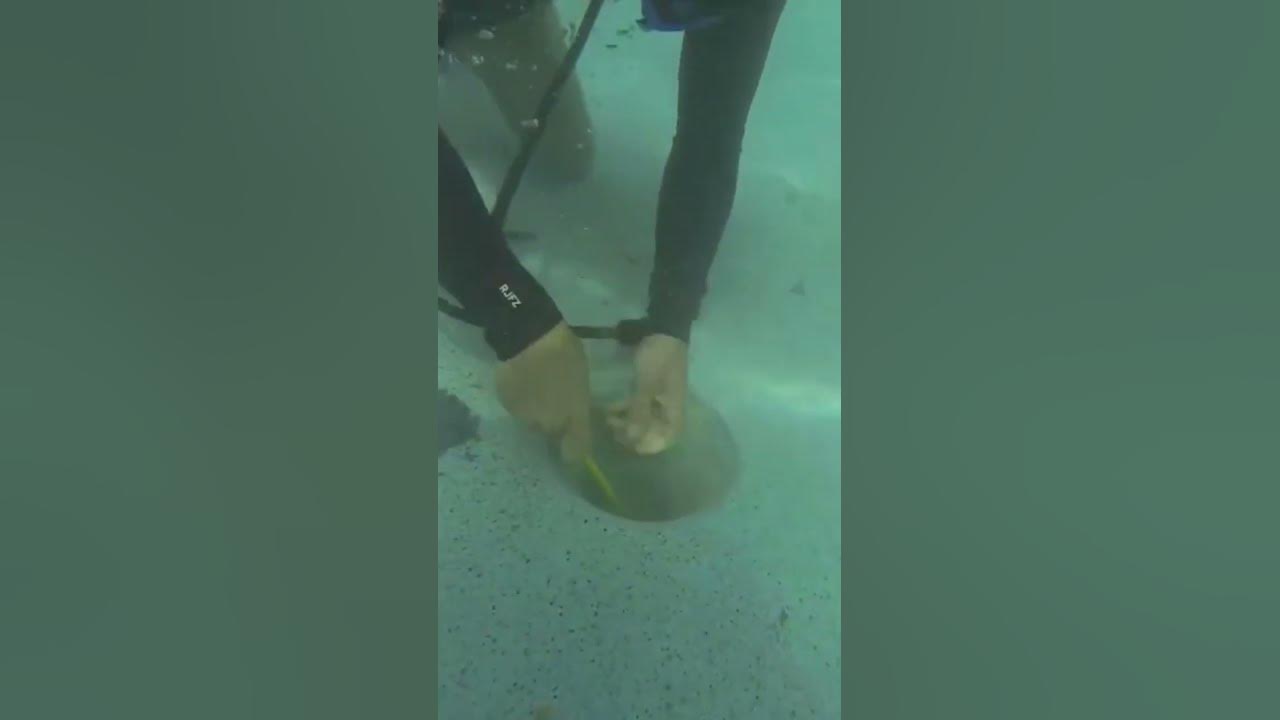 How to pressure test a pool drain line YouTube