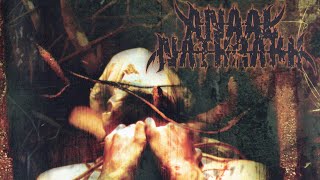 Anaal Nathrakh - The Codex Necro (FULL ALBUM)