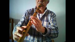 Carinhoso (Pixinguinha) - Quenacho flute