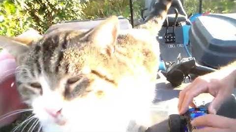 KD SUMMIT S600 7.4 2S 850 LIPO BATTERY MOD!