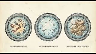 Building Synthetic Life: Why Bioengineering Needs "Self-Driving" Labs