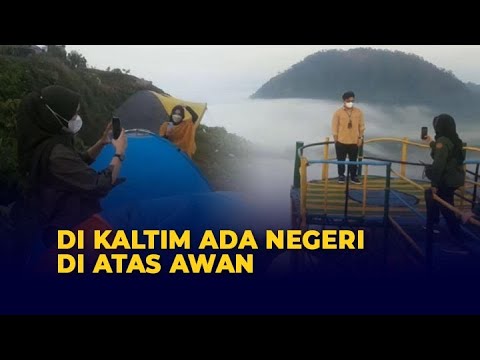 Video: Apa yang ada di gunung embun?